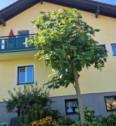 Wald Apartment | Ferienwohnung am Stadtrand