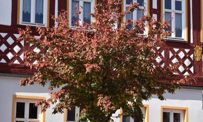 Bad Rodach Apartment | Ferienwohnung/app. für 6 Gäste mit 85m² in Bad Rodach