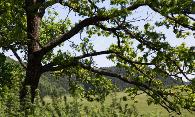 Hellenthal Apartment | Ferienwohnung Augenblick (im Ferienhaus Lichtblick)