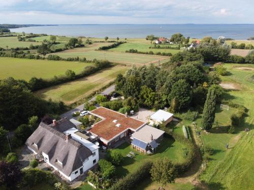 Niesgrau Apartment | Ferienwohnung Bambuswald Ferienhof Geltinger Bucht