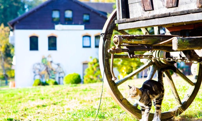 Gruenhain-Beierfeld Apartment | Ferienwohnung im Erzgebirge