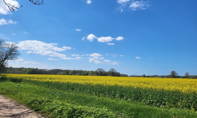 Ribnitz-Damgarten Condo | Ferienwohnung Nähe Ostsee