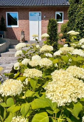 Bad Wilhelmshoehe Apartment | Ferienwohnung Ederweg