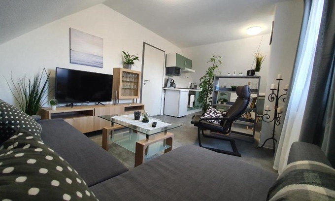 Hungen Apartment | Ferienwohnung Elsa