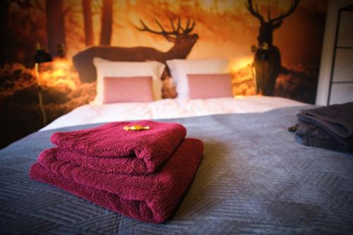 Niedersfeld Apartment | Ferienwohnung Eschenberg