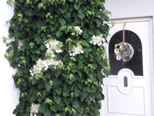 Unterschneidheim Apartment | Ferienwohnung Gogelhopf EG