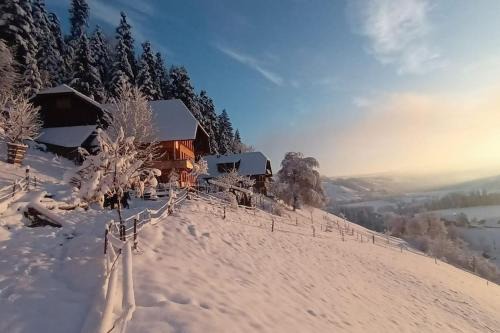 Lauperswil Apartment | Ferienwohnung in Emmentaler Bauernhaus, Vogelsang