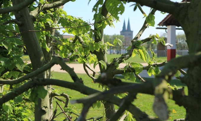 Xanten Apartment | Ferienwohnung Kriemhild
