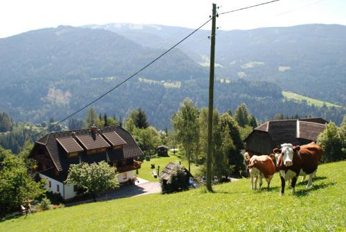 Arriach Apartment | Ferienwohnung Lahnerhof