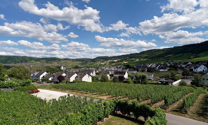 Leiwen Condo | Ferienwohnung "laurentiusblick" mit Panoramablick in den Weinbergen von Leiwen