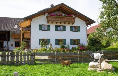 Burggen Apartment | Ferienwohnung Mohnblume