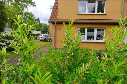 Franken Siedlung Apartment | Ferienwohnung Muschelbank_ MV_Fewo