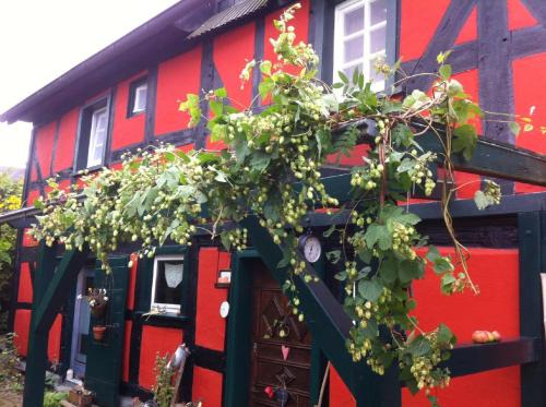Langenberg Apartment | Ferienwohnung Rotes Fachwerkhaus