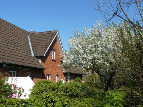 Schleswig-Holstein Binnenland Apartment | Ferienwohnung Seidler