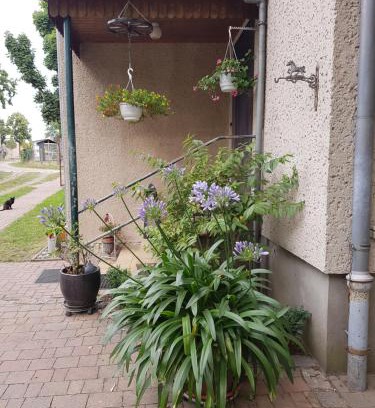 Gnewikow Apartment | Ferienwohnung Siebmann
