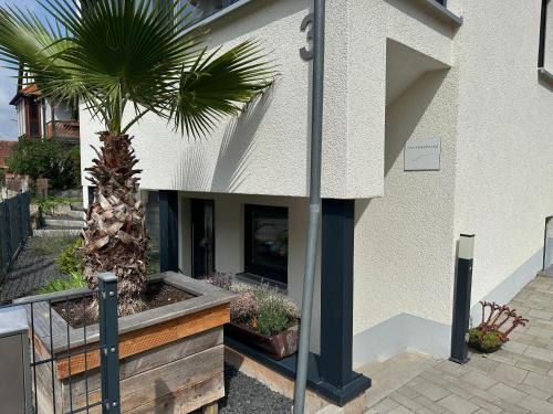 Bad Windsheim Apartment | Ferienwohnung Thermenblick