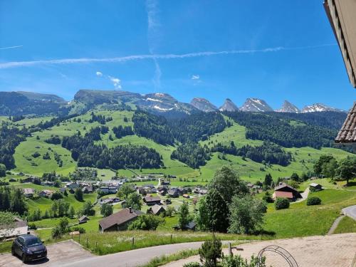 Wildhaus-Alt St. Johann Apartment | Ferienwohnung Toggilodge