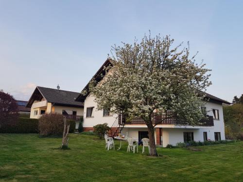 Wald Apartment | Ferienwohnung-Wald