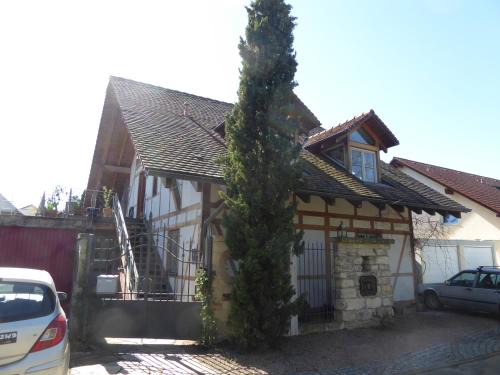 Weil am Rhein Apartment | Ferienwohnung Weiße Rose