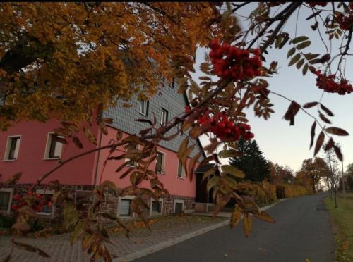 Altenberg Apartment | Ferienwohnung Zum Ausblick