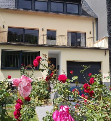 Krov Apartment | Ferienwohnung "Zum Klosterruinenblick"