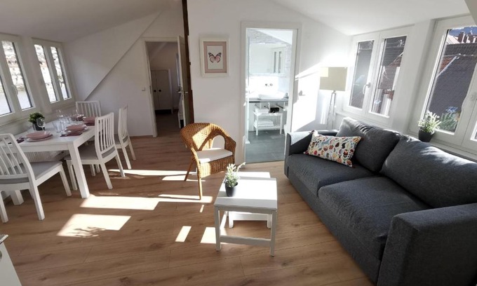 Neckargemuend Apartment | Ferienwohnungen Flussufer - Neckargemünd Altstadt