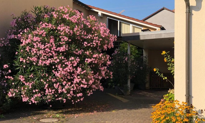 Mainz-Bingen Apartment | Ferienwohnungen In de goldisch Luft