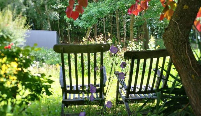 Herzogsdorf Apartment | Ferienwohnungen Pesenbachtal
