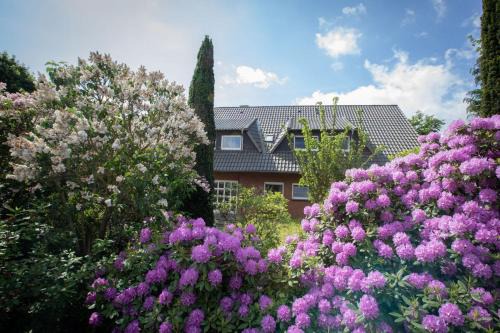 Lembruch Apartment | Ferienwohnungen Schierbaum