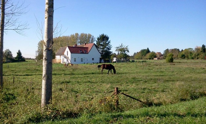 Ville-Pommeroeul House | Ferme Lenfant
