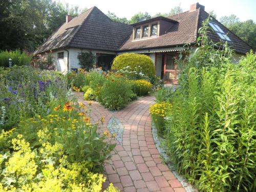 Deinste Apartment | Fewo Birkenallee - Rose
