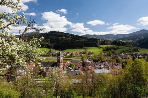 Elzach Apartment | Fewo Blumenweg