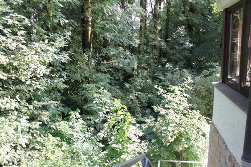 Bad Iburg Apartment | FeWo Harling - Waldsamkeit