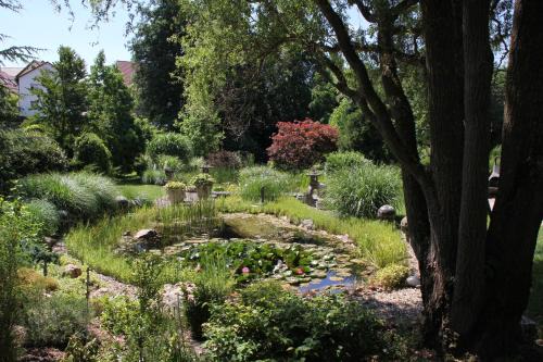 Brandau Apartment | FeWo - Wohlfühlambiente & Gartenparadies