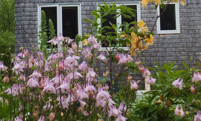 Indian Brook Cottage | FieldStone Garden - Private & Peaceful