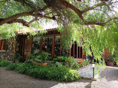 Tajuya House | Finca Alda