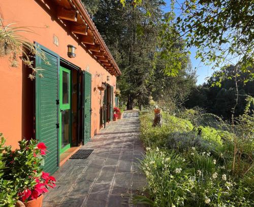 Firgas Villa | Finca El Lance Zumacal