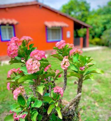 Pinchote House | Finca el Paraíso