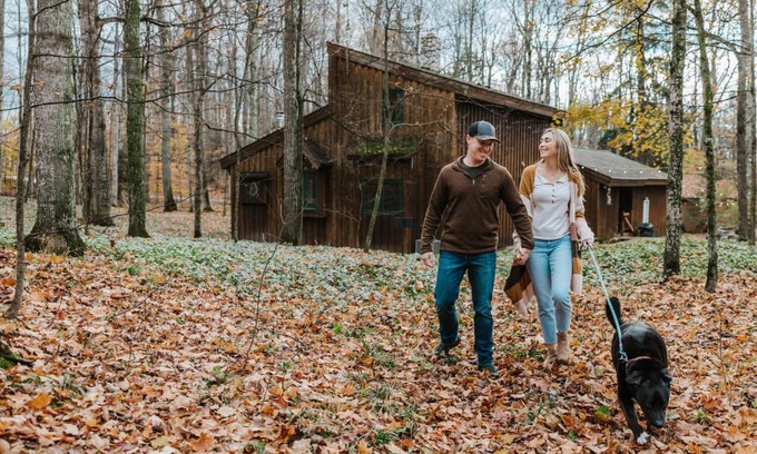 Suttons Bay House | Finnwood - A Pet Friendly Woodland Retreat
