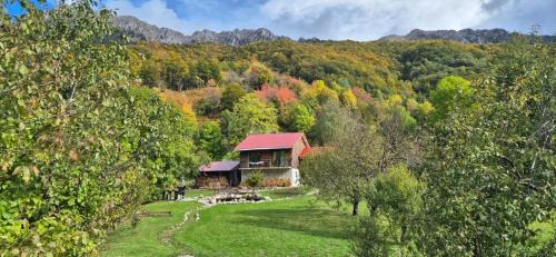 Kolasin Municipality Villa | Fireside Lodge