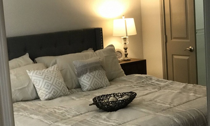 South Main Apartment | First Floor Med Center NRG Walkable-Metro Rail