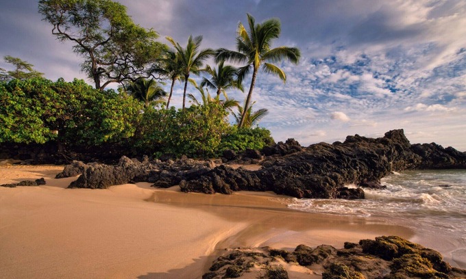 The East Side House | Five minutes from SFO Airport !