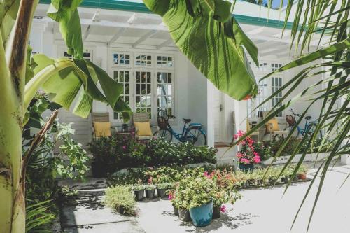 Feydhoo House | Fiyala Homestay