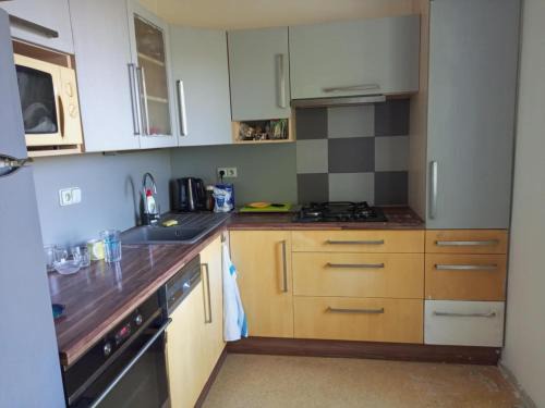 Breclav Apartment | Flat Břeclav City Center