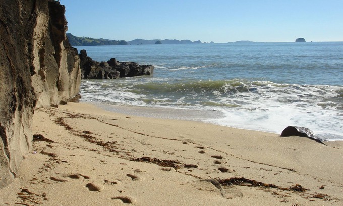 Ferry Landing Cottage | Flaxmill Bay Motel Unit 4 - Flaxmill Bay