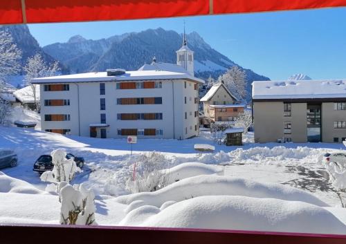Charmey Apartment | Fleur des alpes, Les Edelweiss