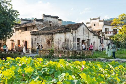 Yi County Hotel | Floral Hotel Xidi Jiuheboshe B&B
