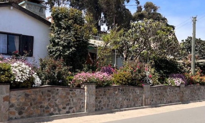 Puchuncavi House | FLORAL HOUSE IN MAINTENCILLO