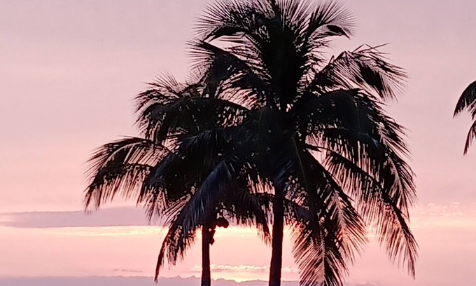 Pine Island Center House | Florida Pine Island Paradise Get-Away in Bokeelia