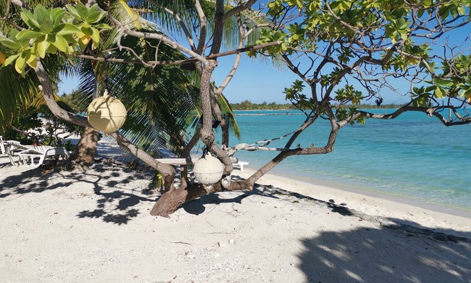 Anaa House | Flyfishing Anaa Toku Kaiga